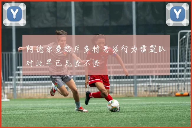 阿德尔曼怒斥多特恶劣行为雷霆队对此早已见怪不怪