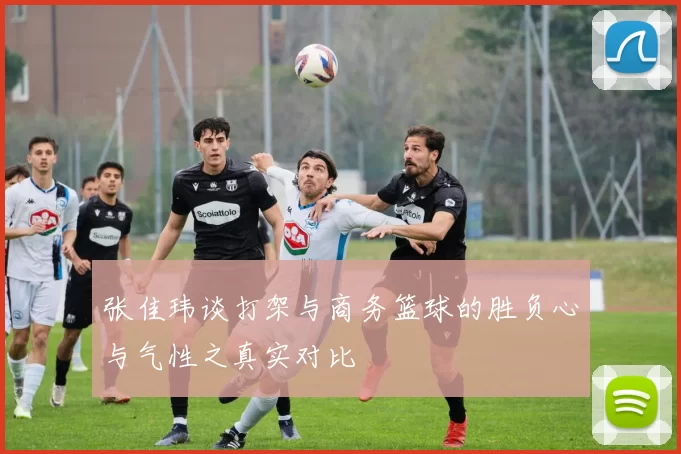 张佳玮谈打架与商务篮球的胜负心与气性之真实对比